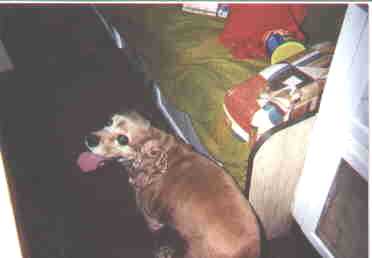 Our little old man...Bumper